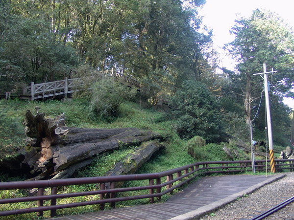 DSC00671.JPG