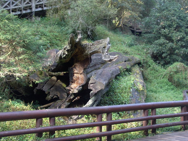 DSC00673.JPG