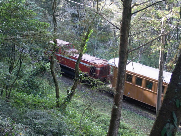 DSC00675.JPG