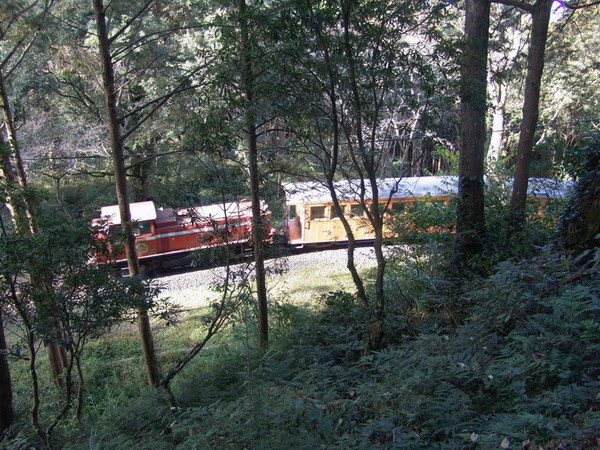 DSC00676.JPG