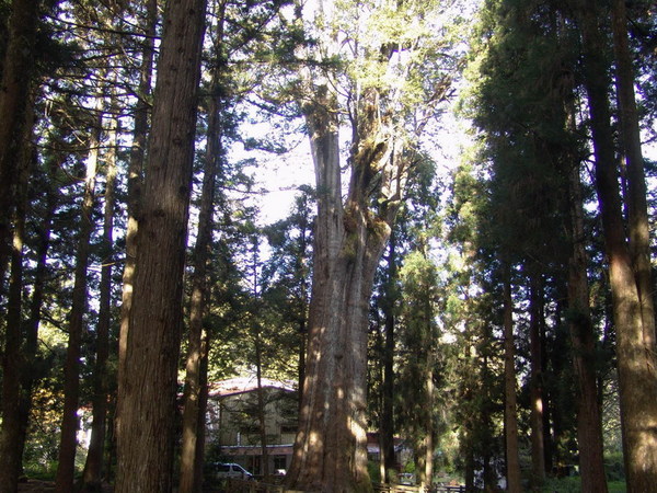 DSC00691.JPG
