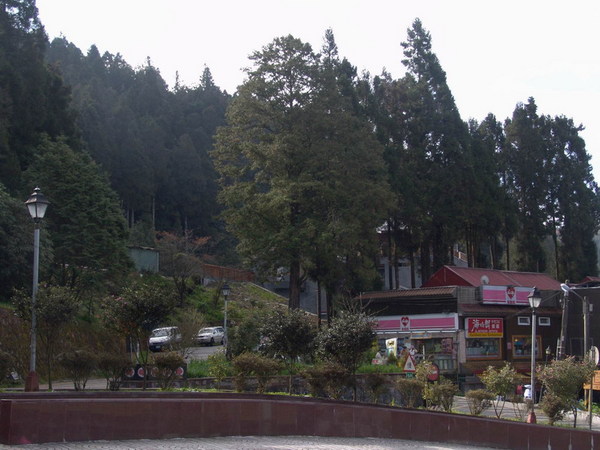 DSC00725.JPG