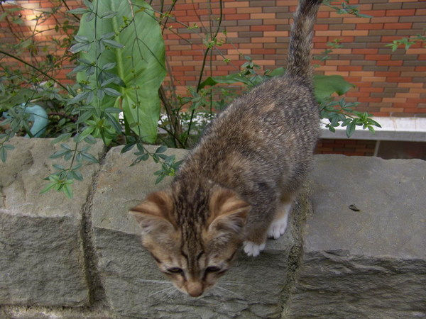 DSC00739.JPG