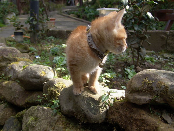 DSC00744.JPG