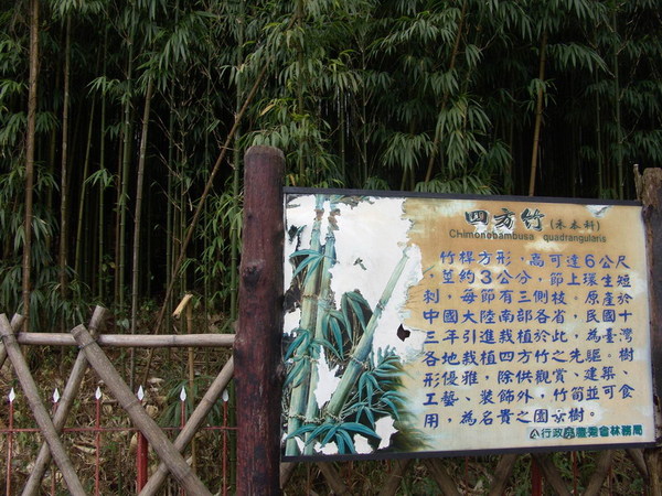 DSC00796.JPG