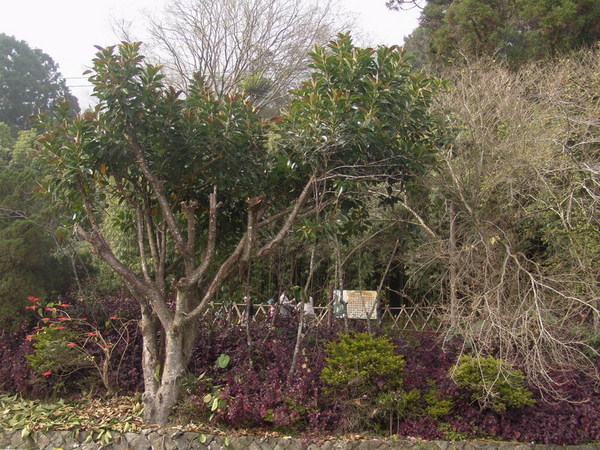 DSC00838.JPG