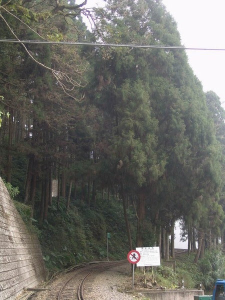 DSC00851.JPG