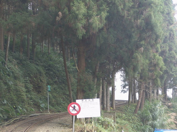 DSC00853.JPG