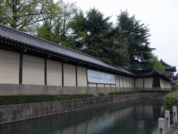 20070418_16.JPG
