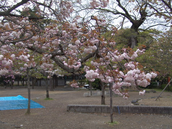 20070418_21.JPG