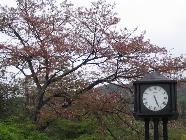 20070418_34.JPG