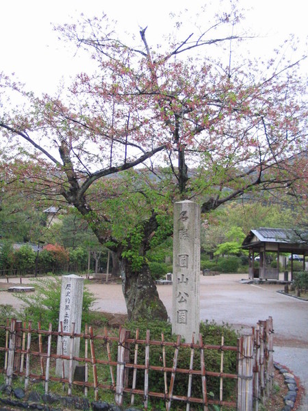 20070418_37.JPG