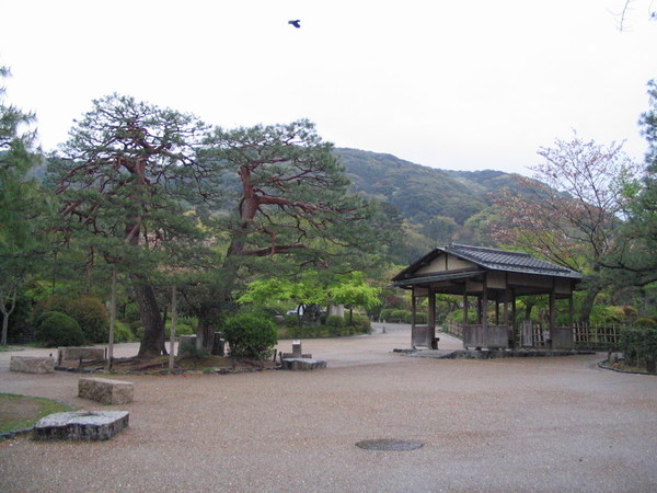 20070418_38.JPG