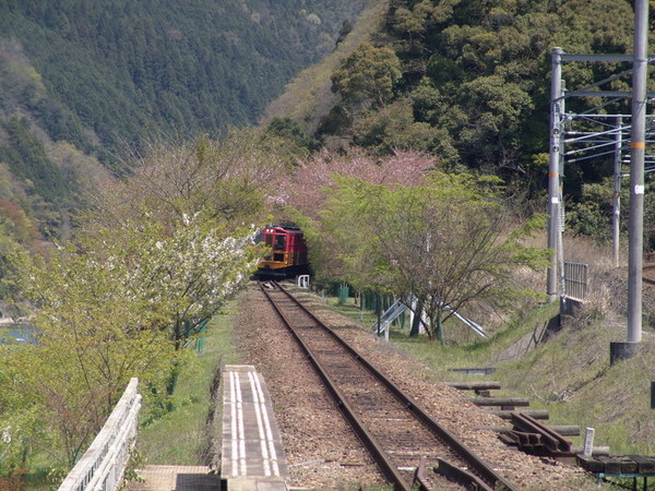 20070419_17.JPG