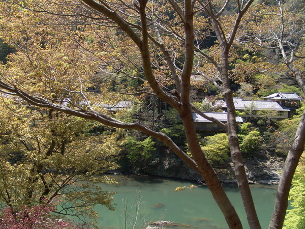 20070419_22.JPG