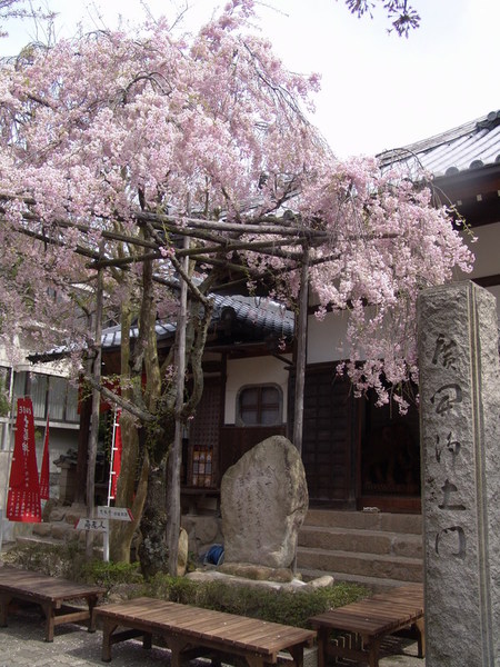 20070420_05.JPG
