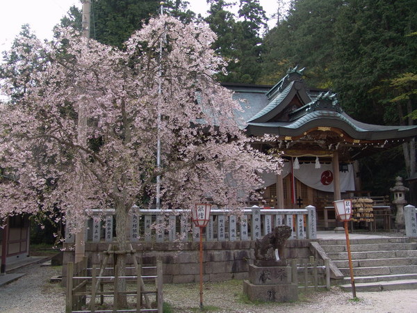 20070420_07.JPG