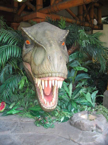 20070421_20.JPG