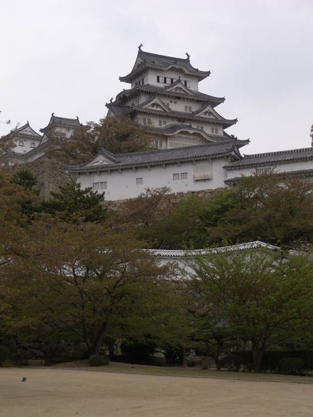 20070422_18.JPG
