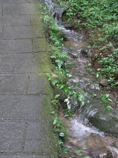 DSC03053.JPG