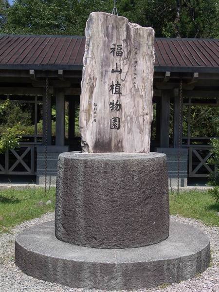 DSC03109.JPG