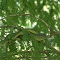 DSC03125.JPG