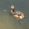 DSC03142.JPG