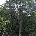 DSC03185.JPG