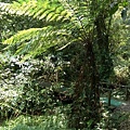DSC03189.JPG