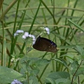 DSC03249.JPG