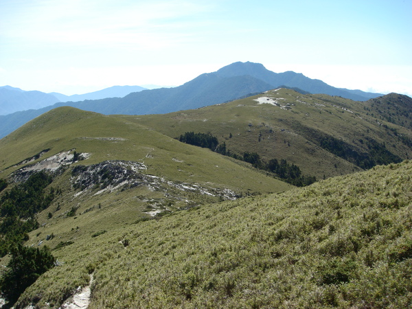 平緩的草坡及高聳的新康山.JPG