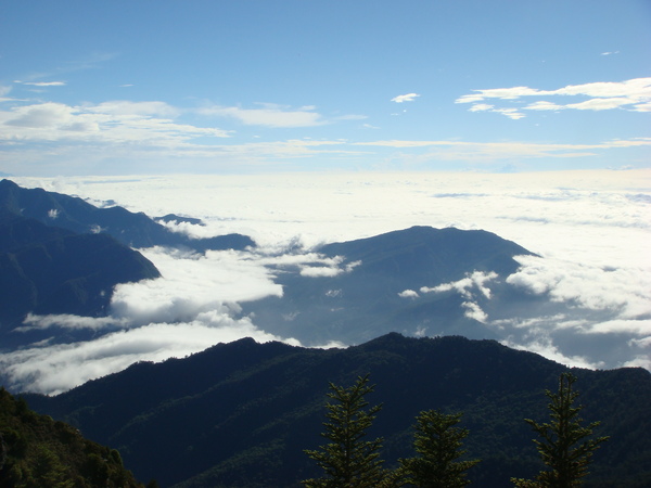 新康山頂雲海.JPG