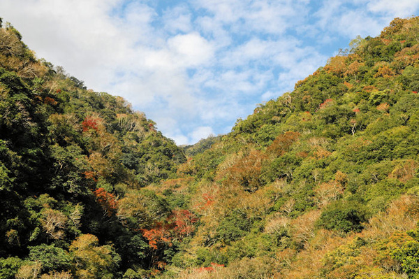 路上風景