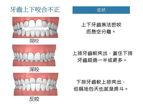 登士美09.jpg