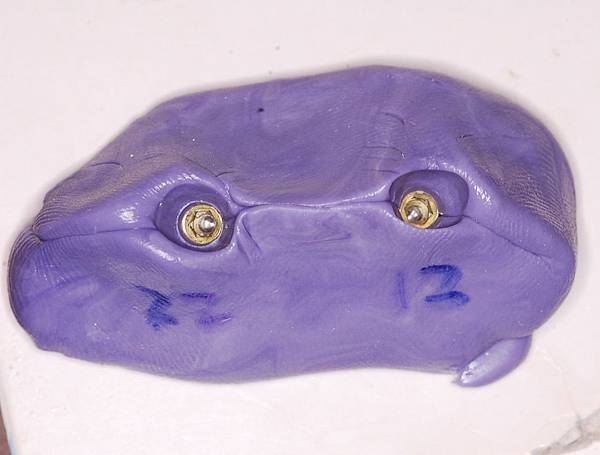 4. custom impression coping (1).JPG