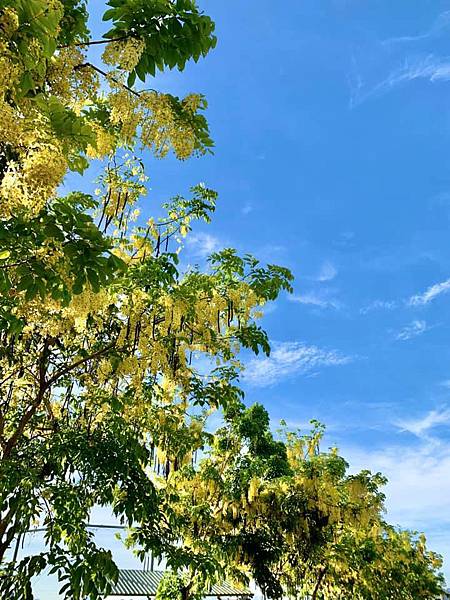 83693418_273983774015072_4378714810717250766_n.jpg 83693418_273983774015072_4378714810717250766_n.jpg