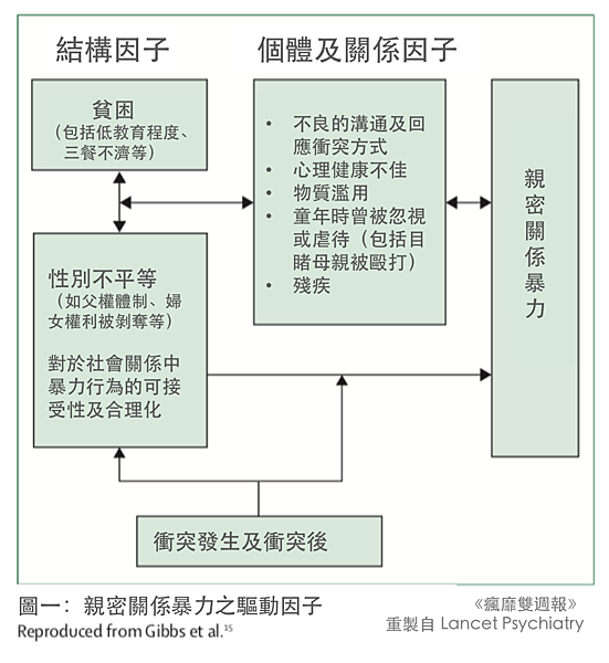 圖一親密關係暴力之驅動因子.png