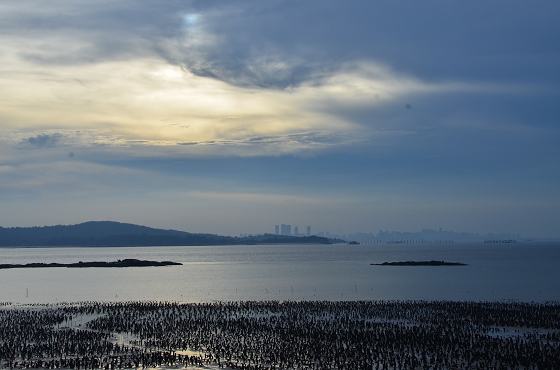DSC_5116a.jpg DSC_5116a.jpg