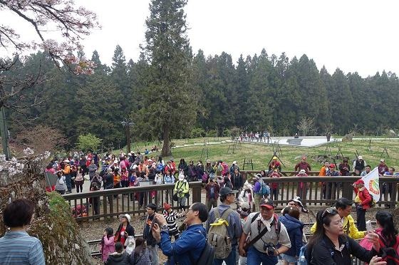 DSC01194a560.jpg DSC01194a560.jpg