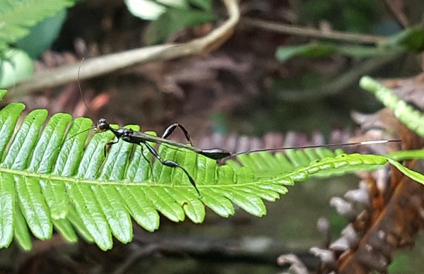 20170702_115013aa600.jpg 20170702_115013aa600.jpg