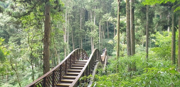 20200726_133832a600.jpg 20200726_133832a600.jpg