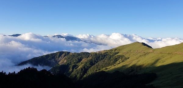 20200906_062232a600.jpg 20200906_062232a600.jpg