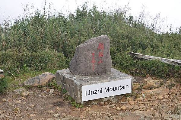 麟趾山東埔山~台21線上塔塔加