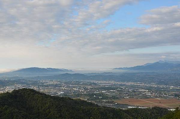 頭嵙山四號步道見美麗山林開膛剖肚~痛心也無奈.