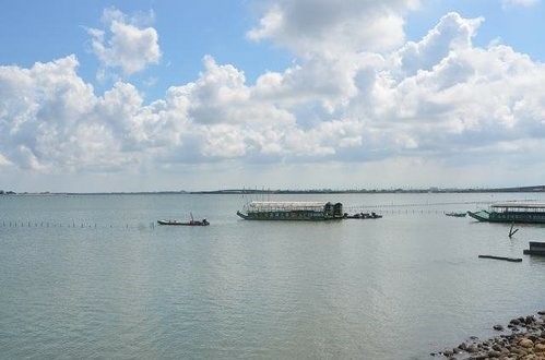 台江國家公園~七股潟湖. 頂頭額沙洲. 國聖燈塔. 黑面琵鷺