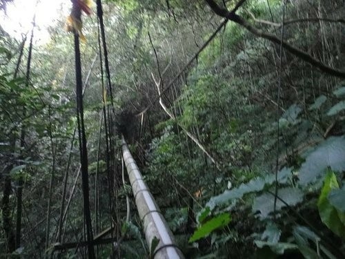 南插天山~登山篇