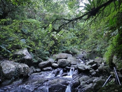 南插天山~登山篇