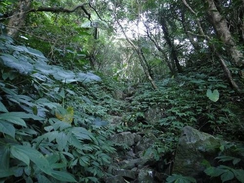 南插天山~登山篇