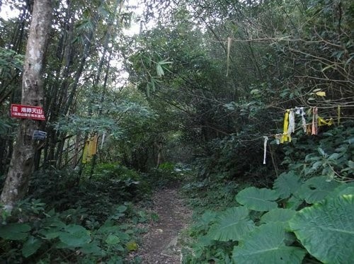 南插天山~登山篇