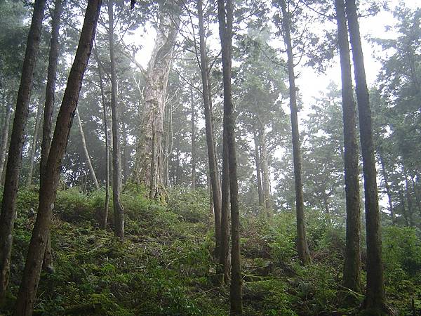 稍來小雪山行